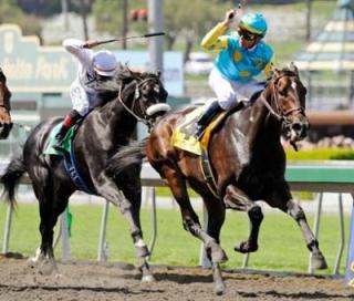 Modern Kentucky Derby