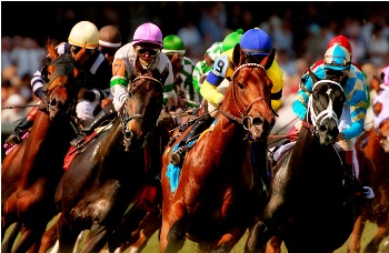 Kentucky Derby 2010 Race